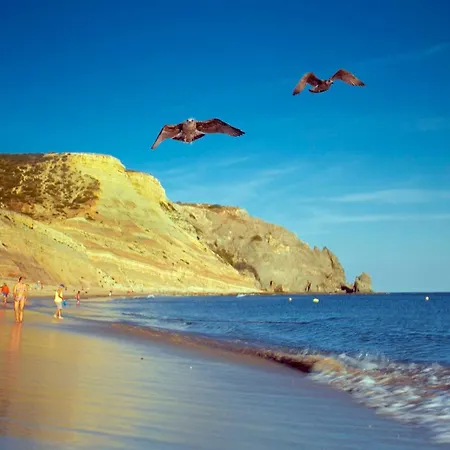 B95 - Casa Melo In Da Apartman Luz