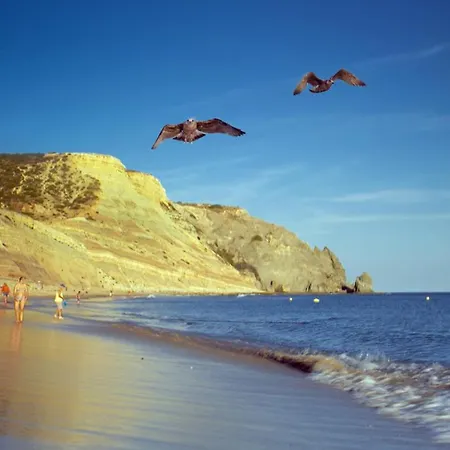 B95 - Casa Melo In Da Luz